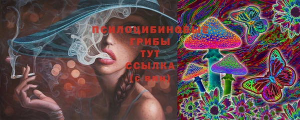 прущая мука Дмитров