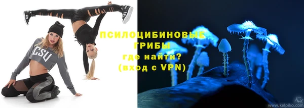 метадон Михайлов