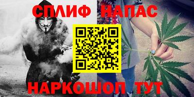 стафф Волгодонск