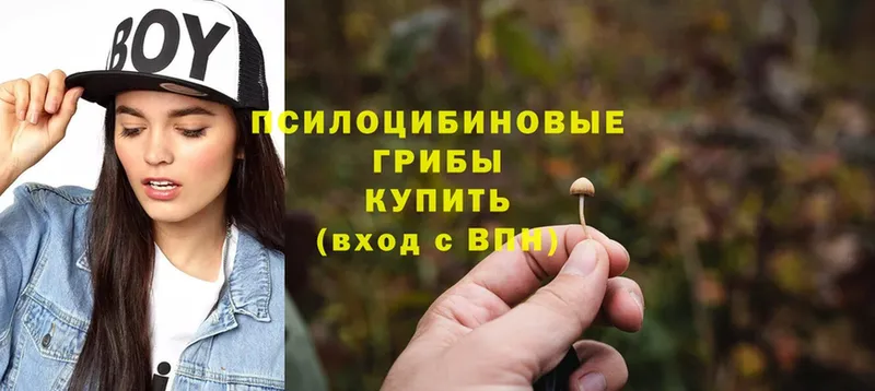 Псилоцибиновые грибы MAGIC MUSHROOMS  сколько стоит  Воткинск 