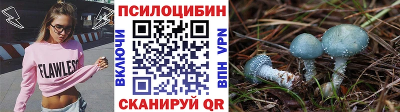 MEGA ONION  Воткинск  Псилоцибиновые грибы мухоморы 