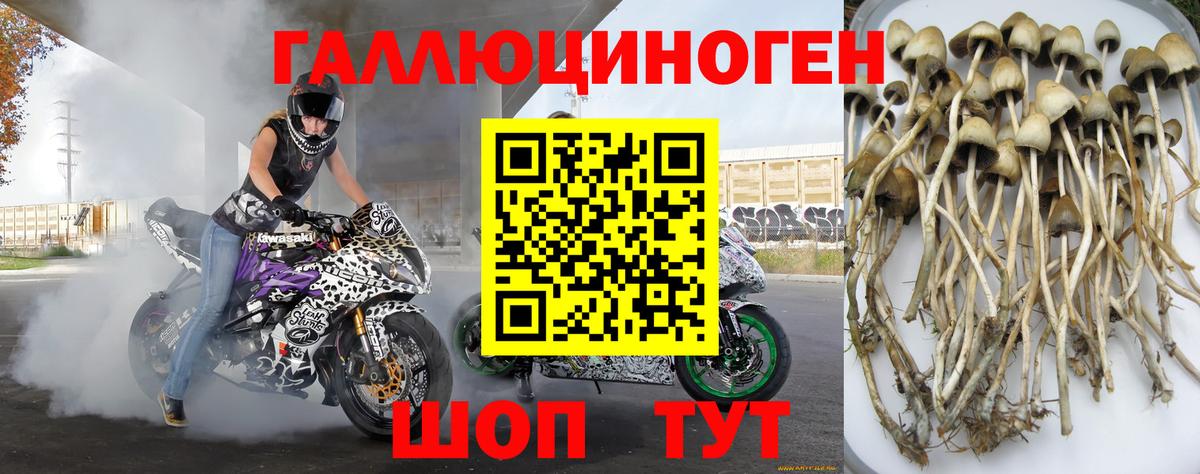 Галлюциногенные грибы мицелий Воткинск